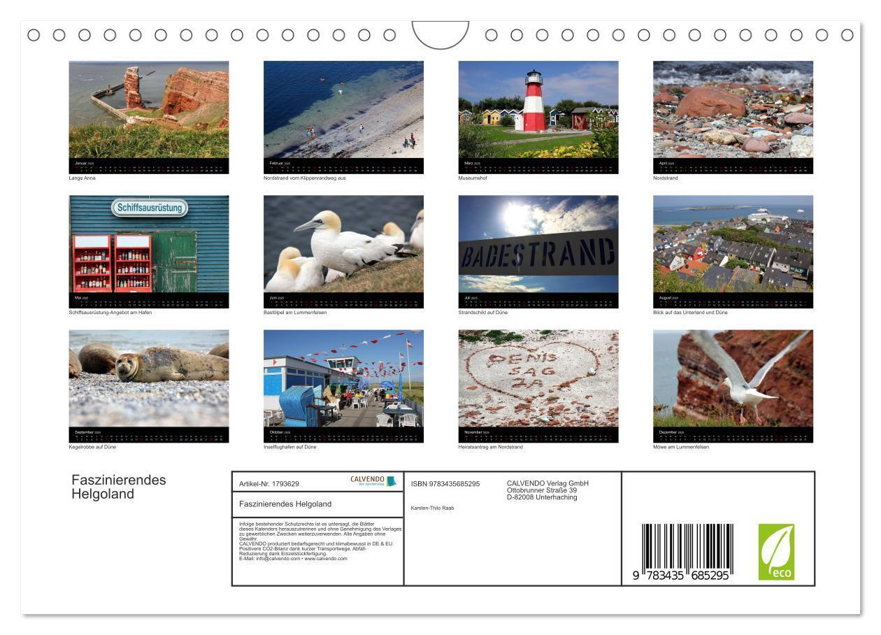 Bild: 9783435685295 | Faszinierendes Helgoland (Wandkalender 2025 DIN A4 quer), CALVENDO...