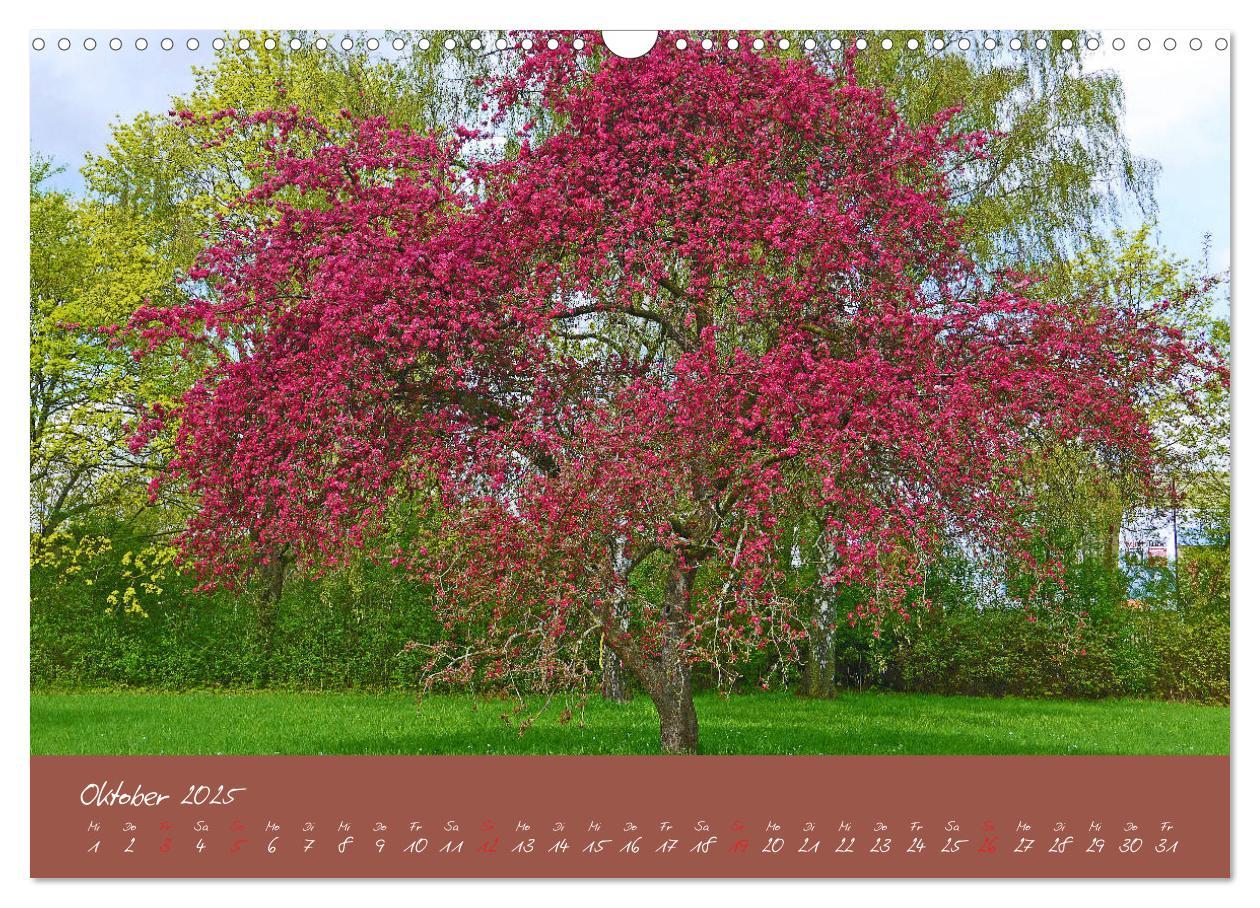 Bild: 9783435255375 | Düsseldorfer Nordpark (Wandkalender 2025 DIN A3 quer), CALVENDO...