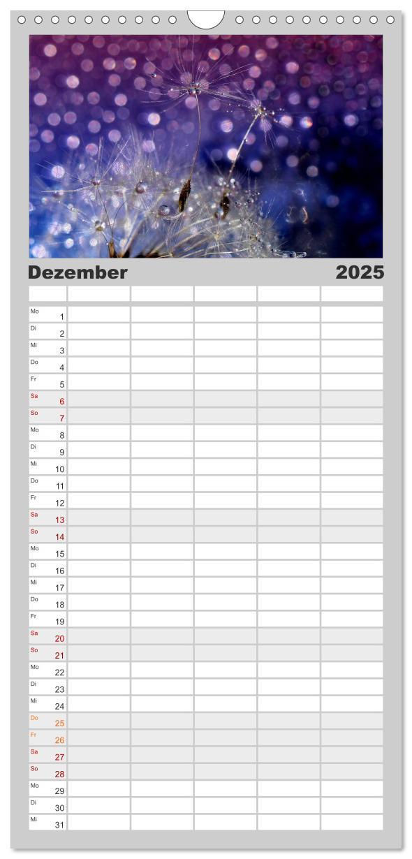 Bild: 9783457125632 | Familienplaner 2025 - Puste mal! mit 5 Spalten (Wandkalender, 21 x...