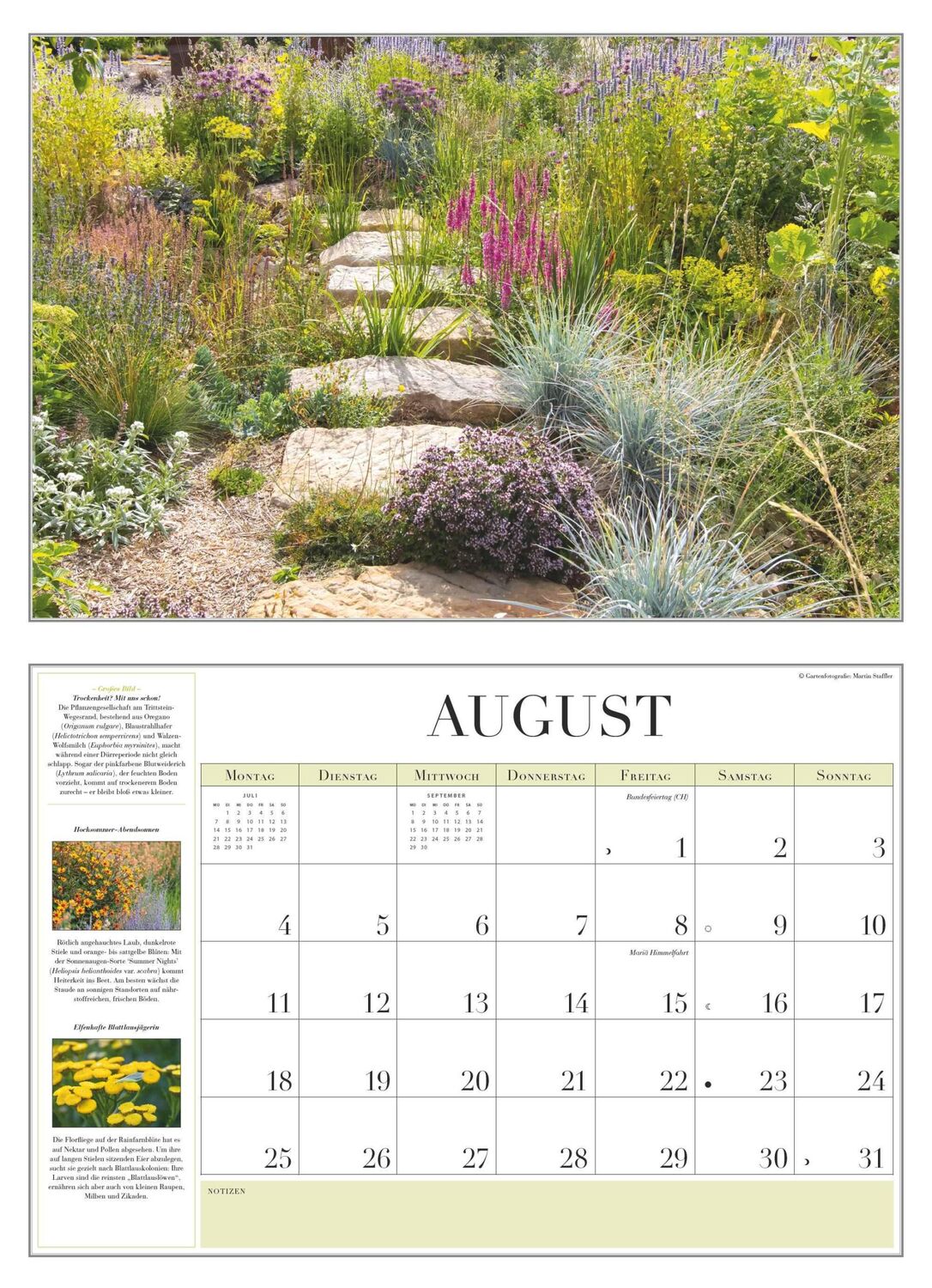 Bild: 4250809652856 | Garten-Kalender 2025 - Broschürenkalender - mit informativen Texten...