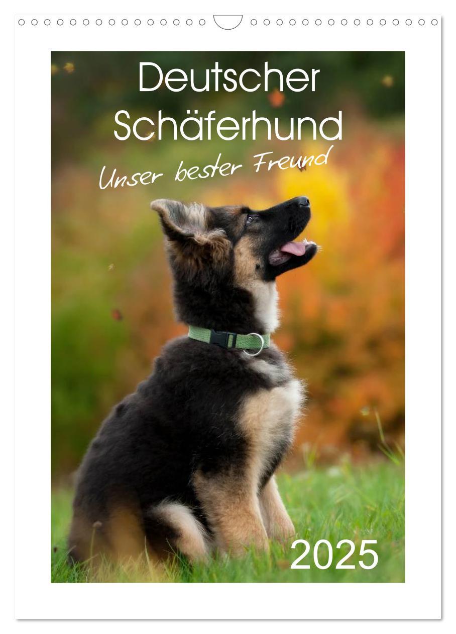 Cover: 9783457012345 | Deutscher Schäferhund - unser bester Freund (Wandkalender 2025 DIN...