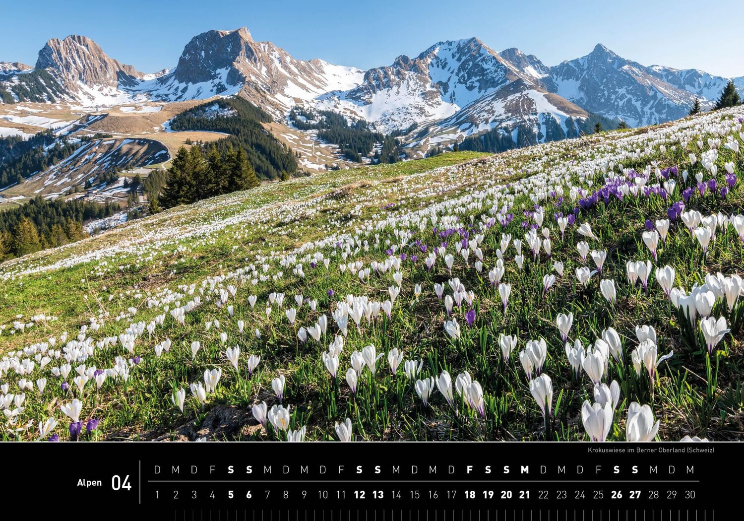 Bild: 9783968555577 | 360° Alpen Premiumkalender 2025 | Robert Haasmann | Kalender | 13 S.