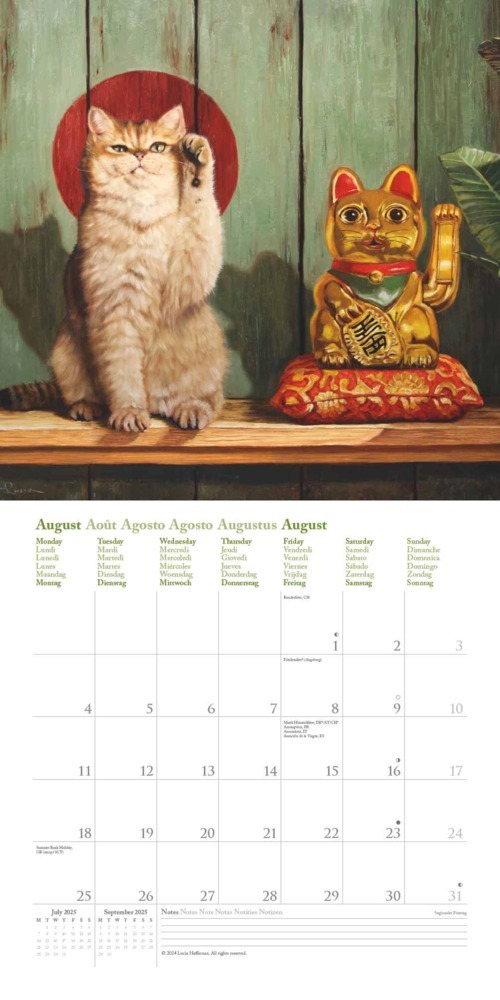 Bild: 4002725994196 | N NEUMANNVERLAGE - Funny Animals 2025 Broschürenkalender, 30x30cm,...