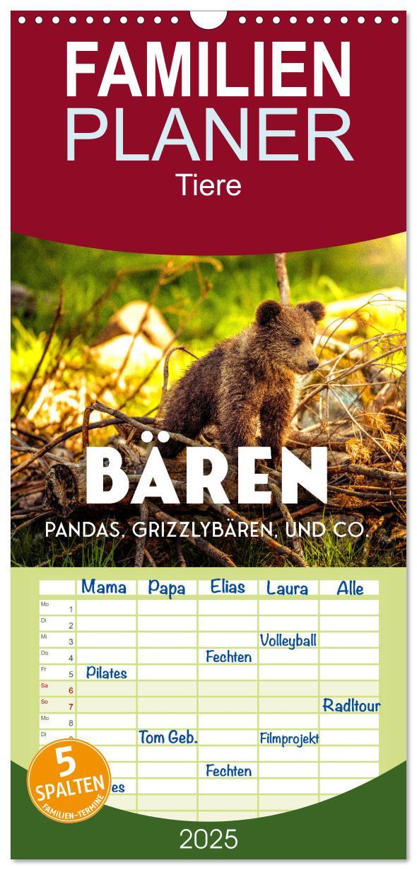 Cover: 9783457096079 | Familienplaner 2025 - Bären - Pandas, Grizzlybären und Co. mit 5...