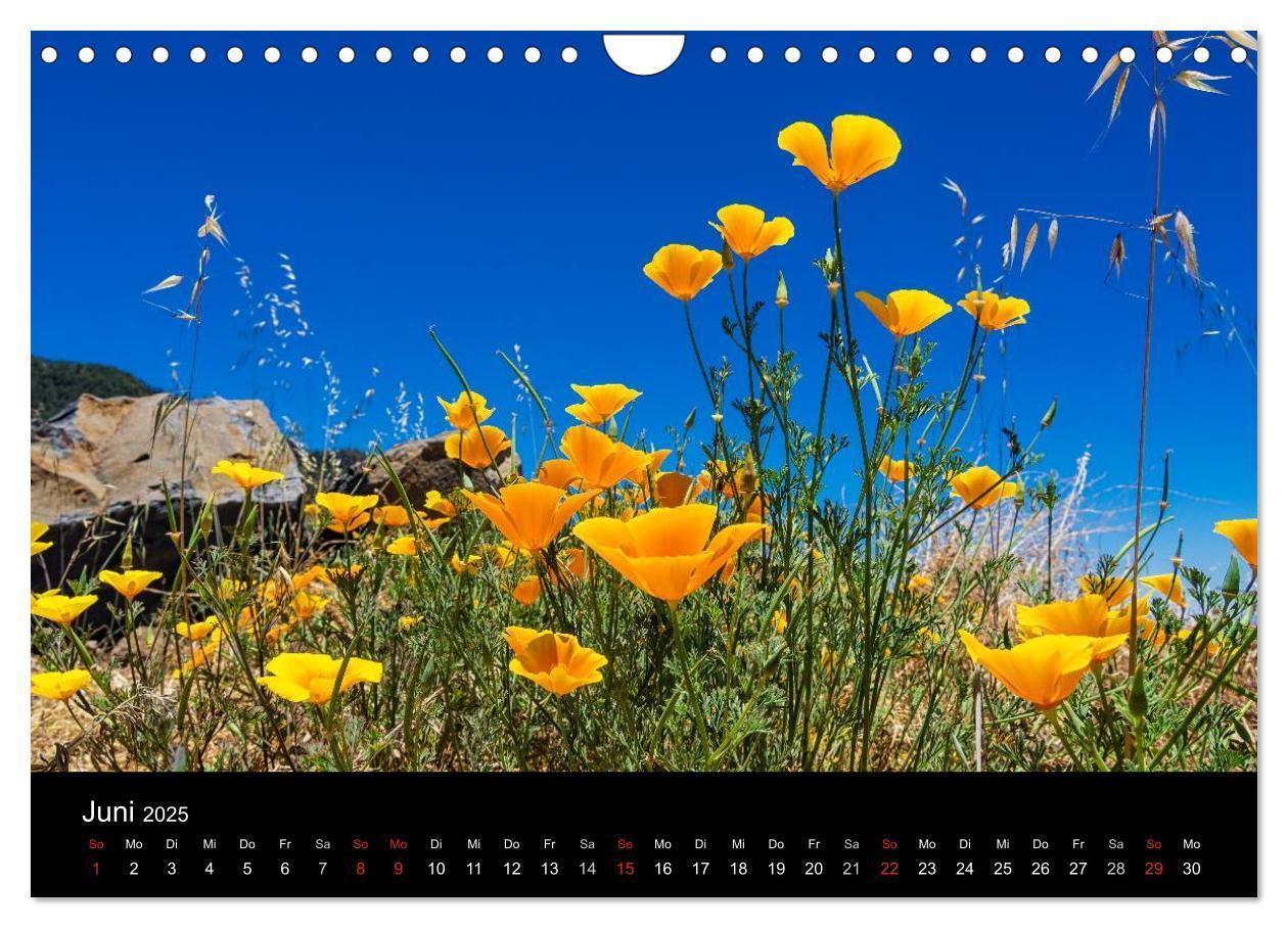 Bild: 9783435778447 | Teneriffa (Wandkalender 2025 DIN A4 quer), CALVENDO Monatskalender