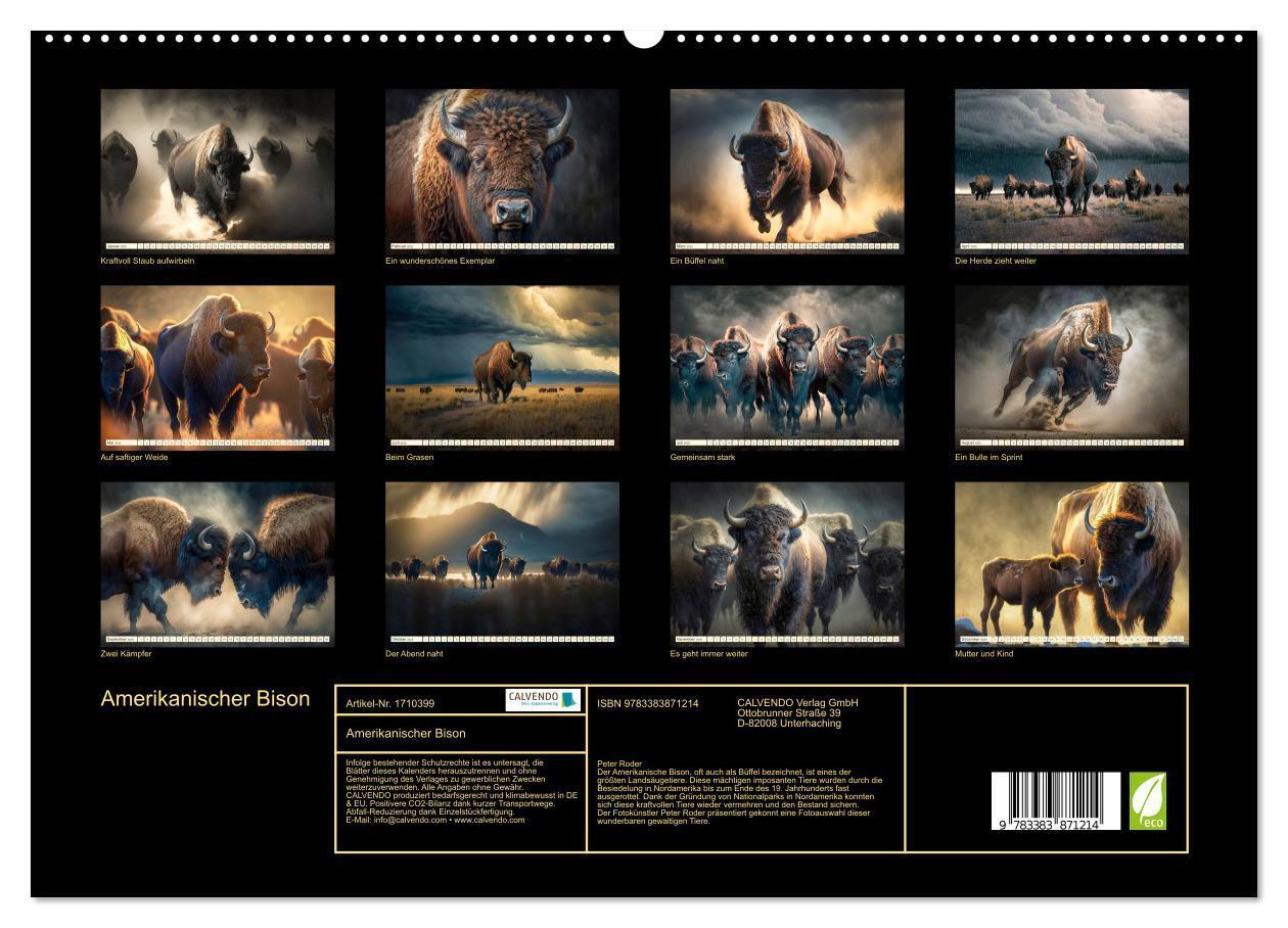 Bild: 9783383871214 | Amerikanischer Bison (hochwertiger Premium Wandkalender 2025 DIN A2...