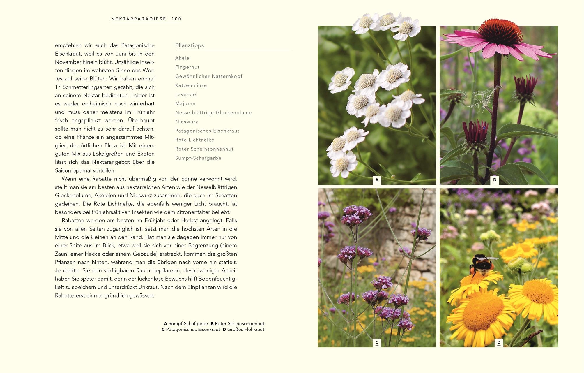 Bild: 9783831041572 | Wildnis im Garten | Grüne Oasen schaffen | Jim und Joel Ashton | Buch