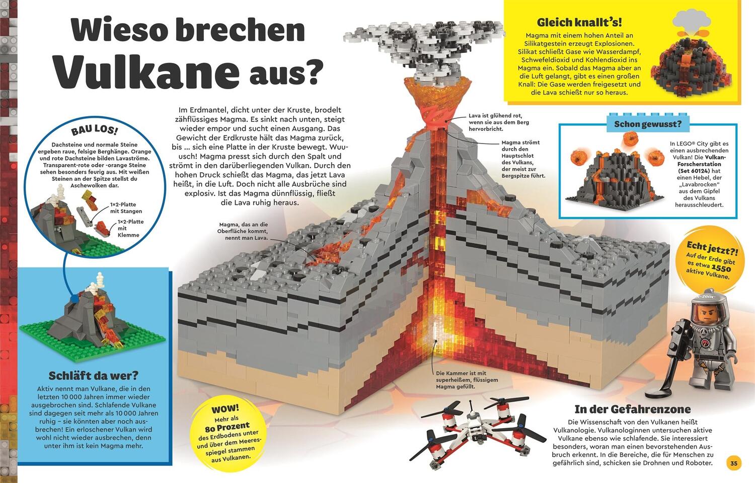 Bild: 9783831048083 | LEGO® Entdecke die Erde | Jennifer Swanson | Buch | 144 S. | Deutsch