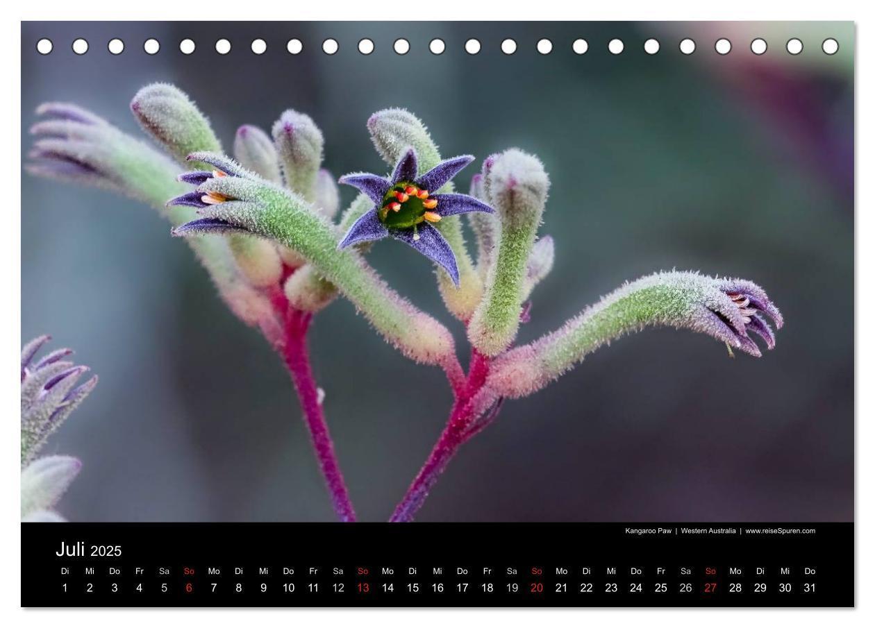 Bild: 9783435620333 | Australien 2025 Natur und Kultur (Tischkalender 2025 DIN A5 quer),...