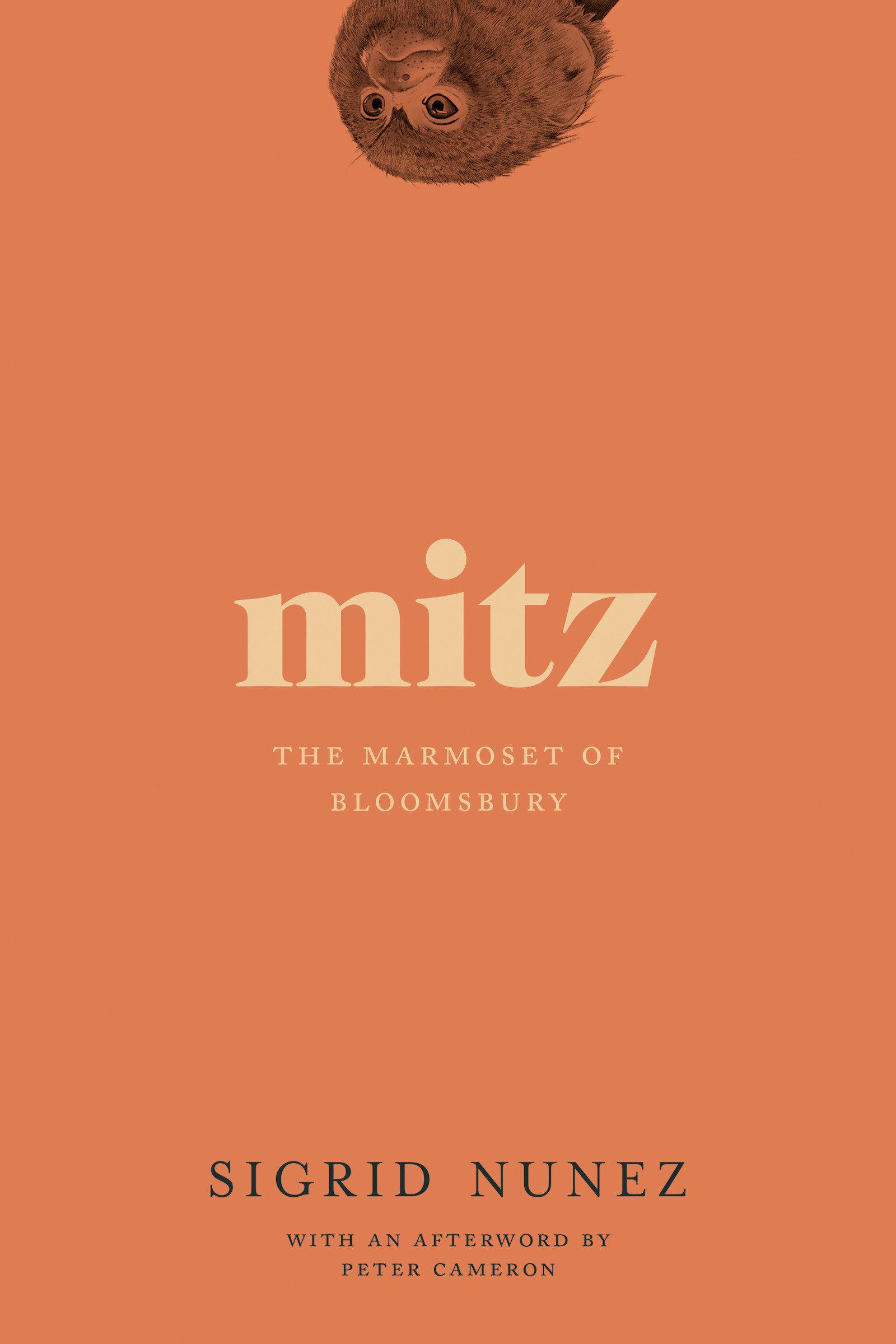 Cover: 9781593765828 | Mitz | The Marmoset of Bloomsbury | Sigrid Nunez | Taschenbuch | 2019