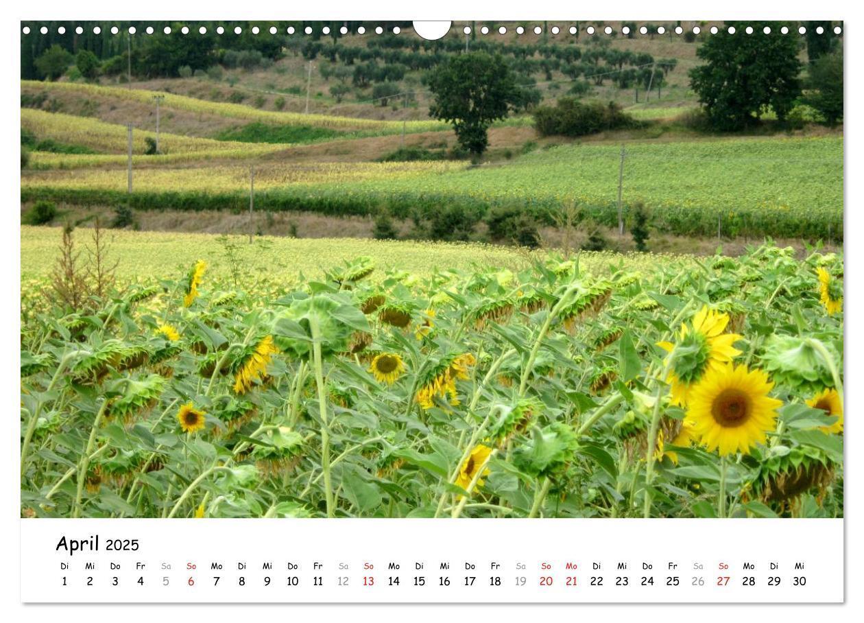 Bild: 9783435649464 | Camino di Assisi - Franziskusweg (Wandkalender 2025 DIN A3 quer),...