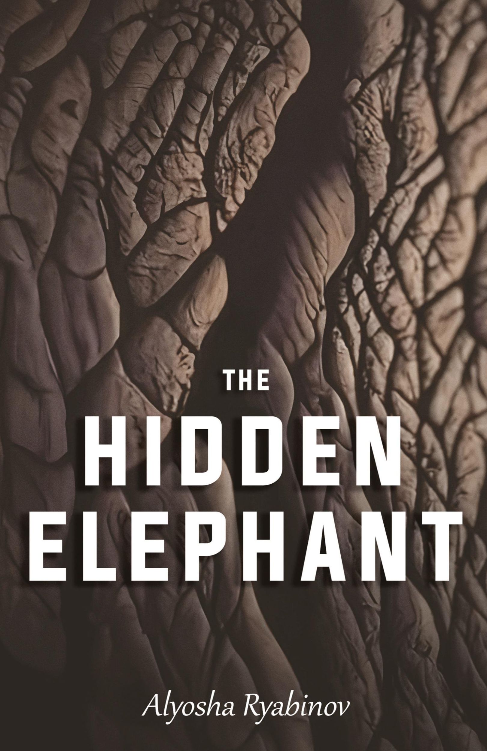 Cover: 9781633378117 | The Hidden Elephant | Alyosha Ryabinov (u. a.) | Taschenbuch | 2024