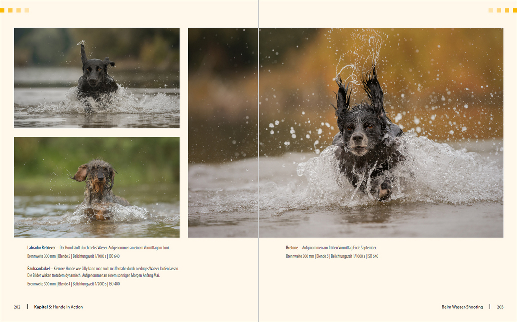 Bild: 9783832803490 | Hunde-Shooting - Fotografieren mit "Wau-Effekt" | Regine Heuser | Buch