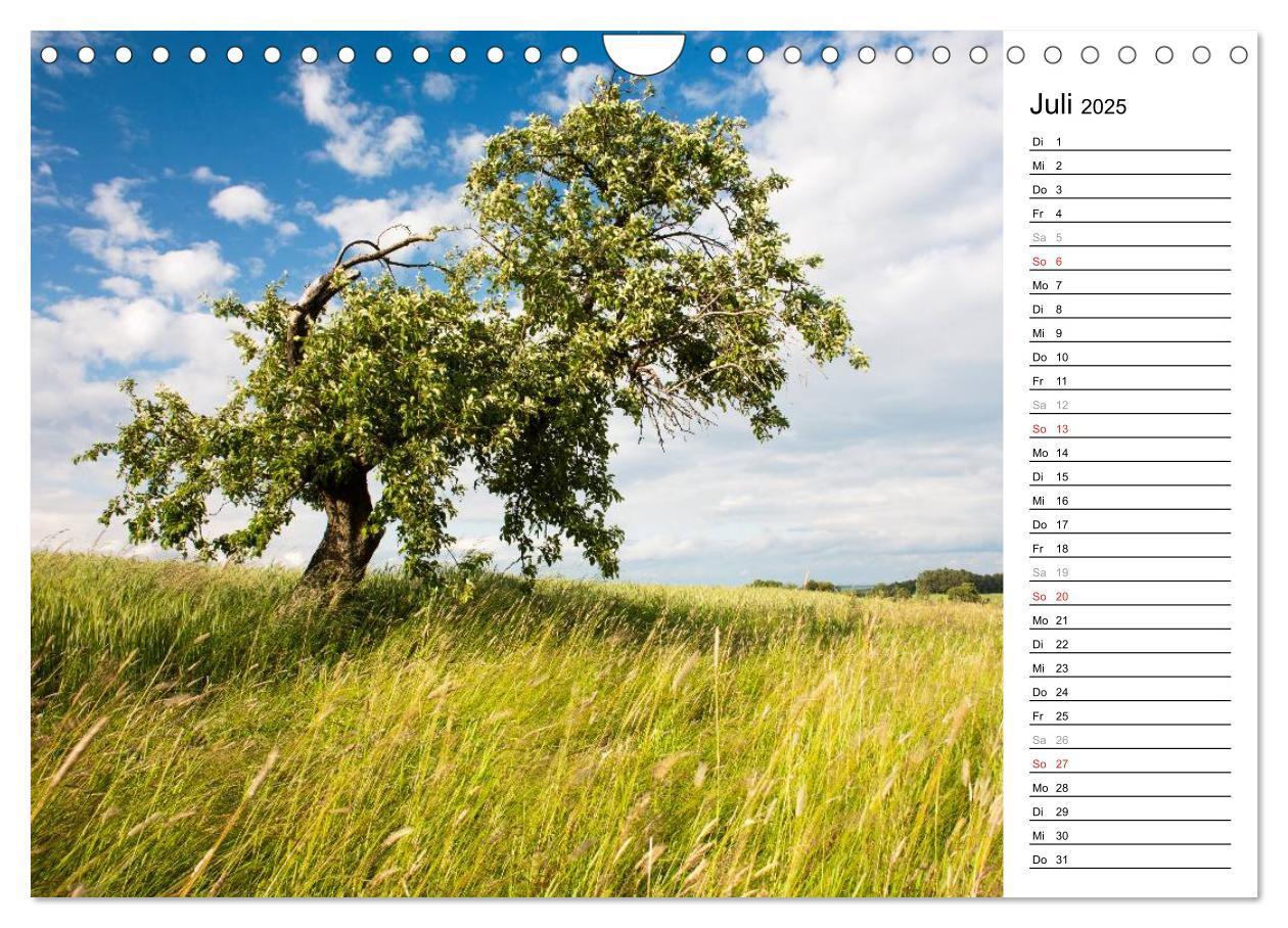 Bild: 9783435542482 | DER STEIGERWALD - Impressionen einer Landschaft (Wandkalender 2025...