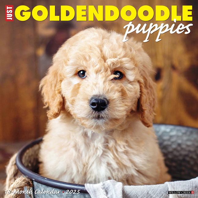 Cover: 9781549243110 | Just Goldendoodle Puppies 2025 12 X 12 Wall Calendar | Press | 2025