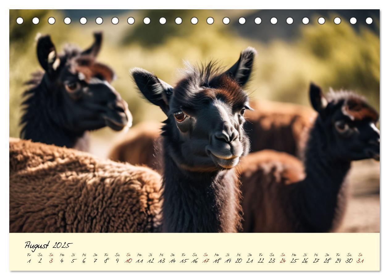 Bild: 9783457189641 | Alpakas, die sanften Andenbewohner (Tischkalender 2025 DIN A5...