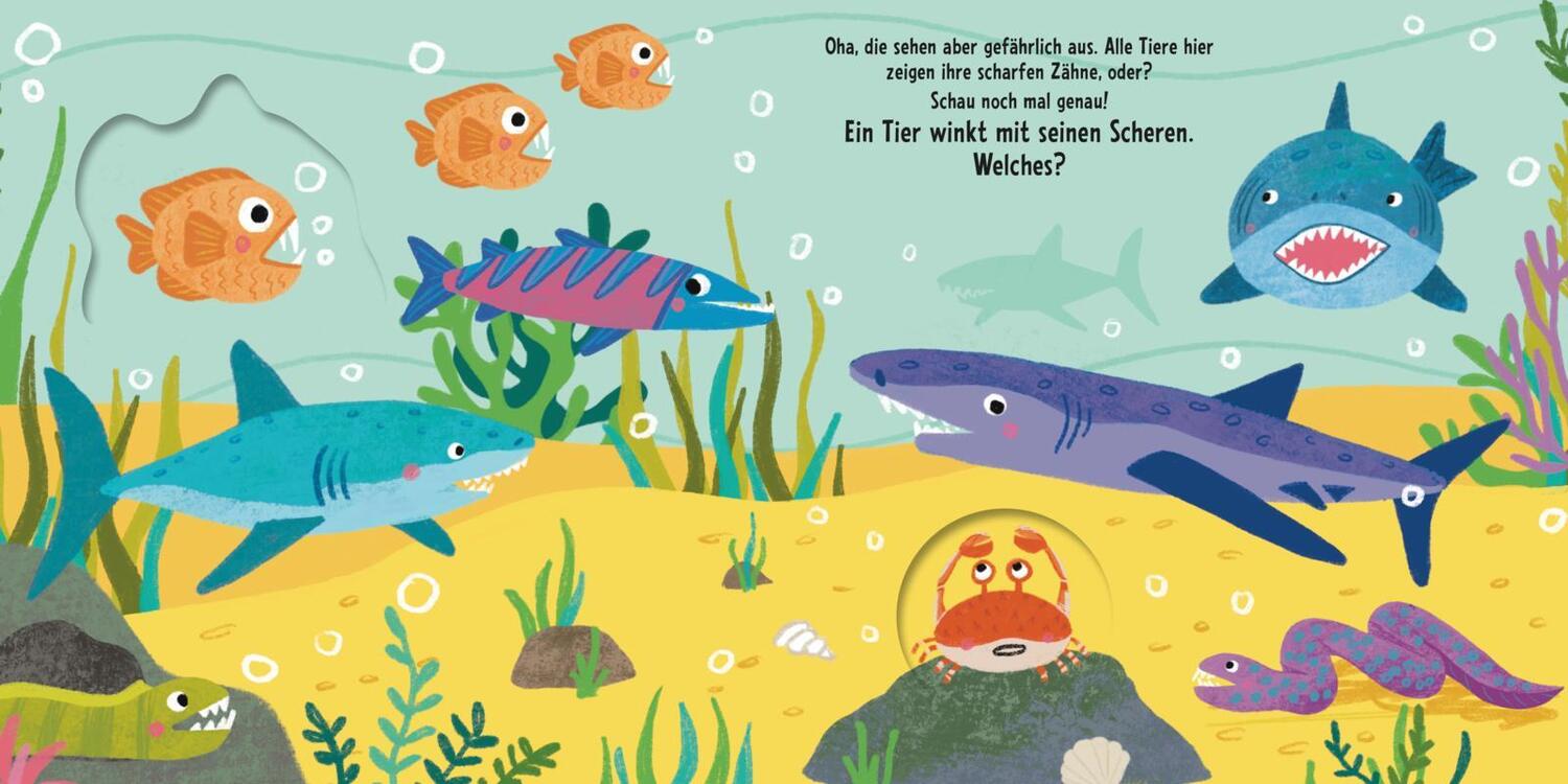 Bild: 9783551173270 | Schau, was passt genau? Im tiefen Meer | Buch | Mit Gucklöchern | 2024