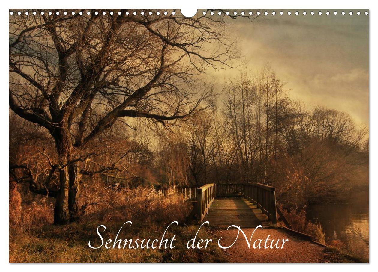 Cover: 9783435707508 | Sehnsucht der Natur (Wandkalender 2025 DIN A3 quer), CALVENDO...