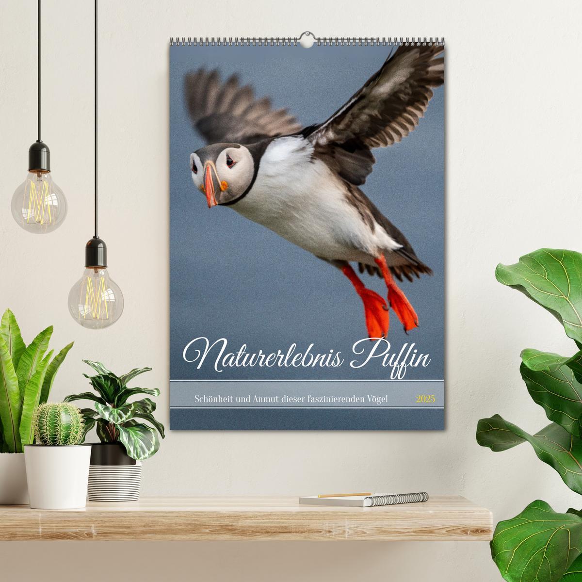 Bild: 9783435849390 | Naturerlebnis Puffin (Wandkalender 2025 DIN A2 hoch), CALVENDO...