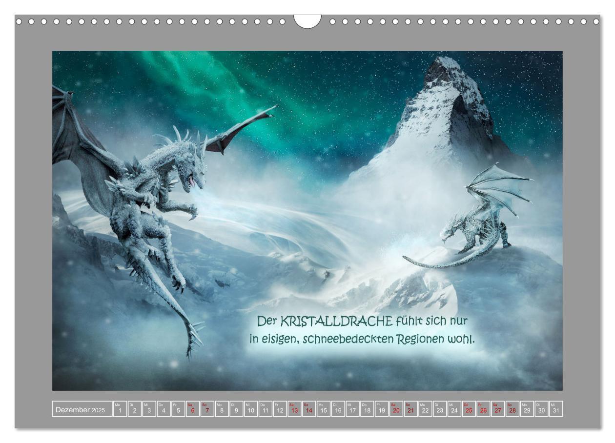 Bild: 9783383987274 | Wo die wilden Drachen wohnen (Wandkalender 2025 DIN A3 quer),...