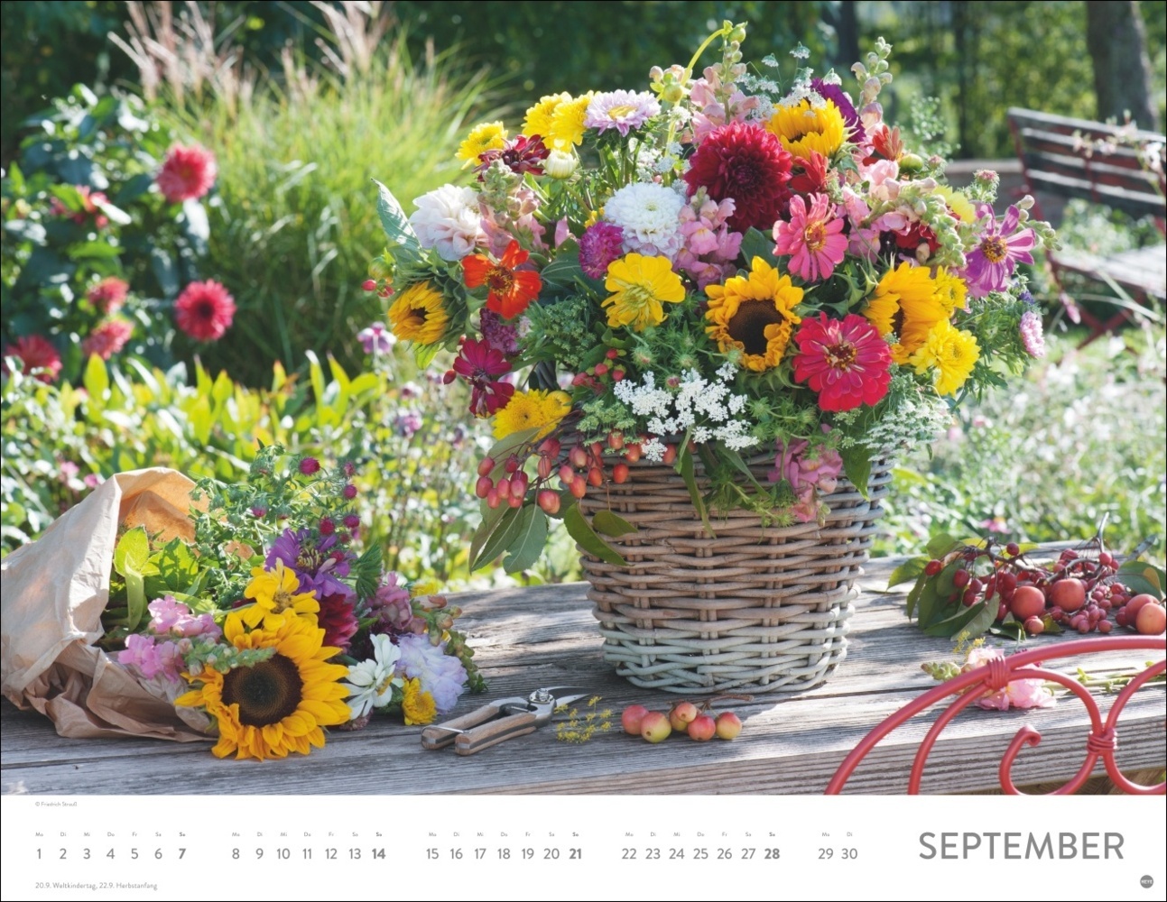 Bild: 9783756405053 | Blumenpracht Posterkalender 2025 | Kalender | Spiralbindung | 14 S.