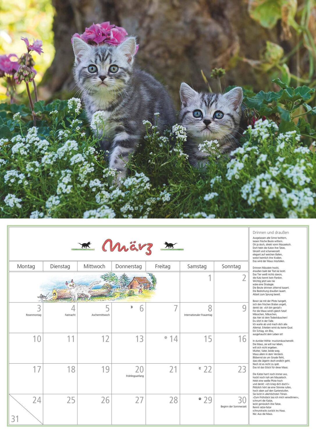 Bild: 4250809652412 | DUMONT - DUMONTS Katzenkalender 2025 Broschürenkalender, 42x29cm,...