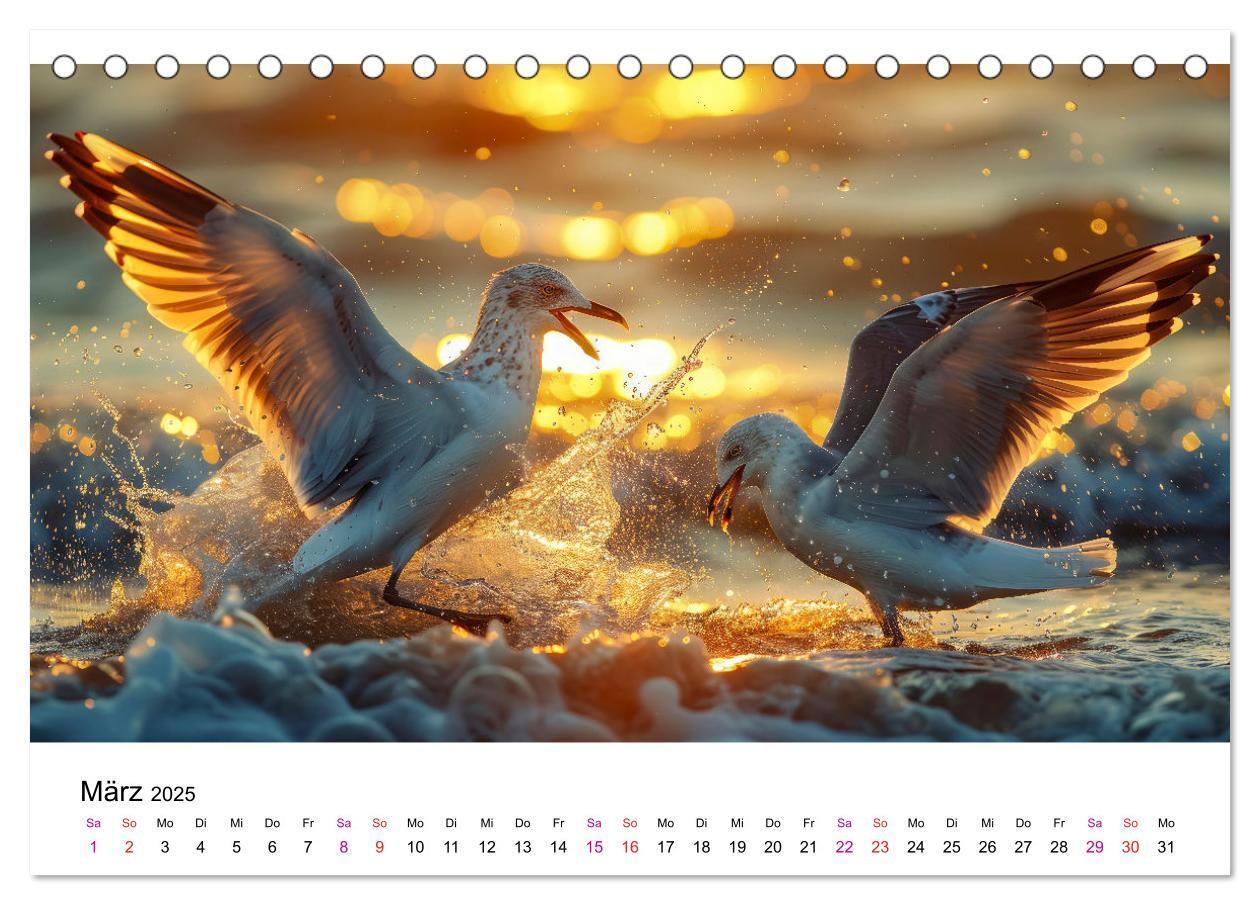 Bild: 9783457162484 | Maritim pur - Möwen (Tischkalender 2025 DIN A5 quer), CALVENDO...