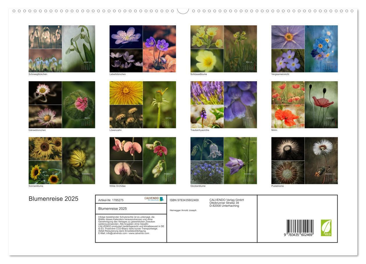 Bild: 9783435602469 | Blumenreise 2025 (hochwertiger Premium Wandkalender 2025 DIN A2...