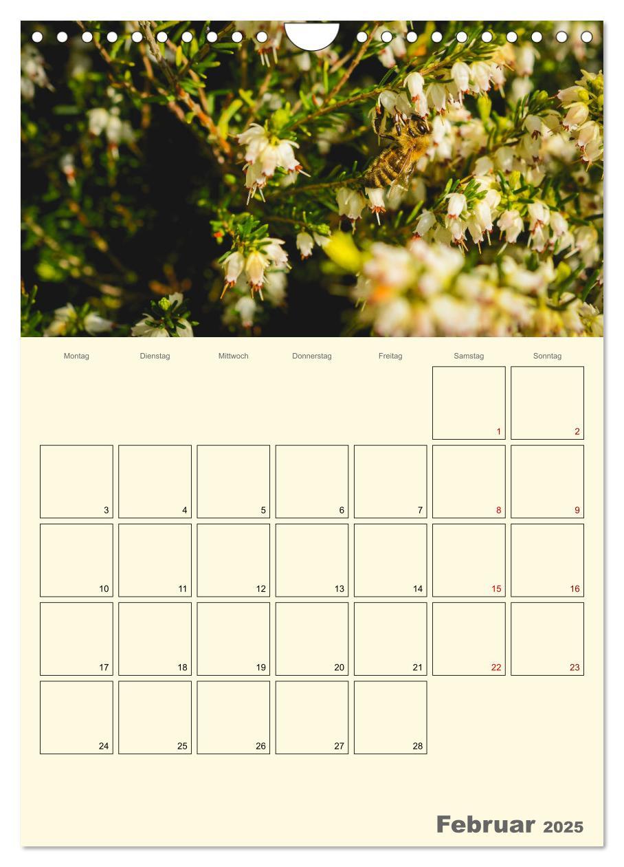 Bild: 9783435958023 | Bienen im Naturgarten (Wandkalender 2025 DIN A4 hoch), CALVENDO...