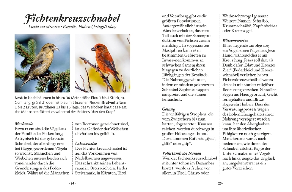 Bild: 9783710401749 | Das kleine Buch: Singvögel | Klaus Kamolz | Buch | 64 S. | Deutsch