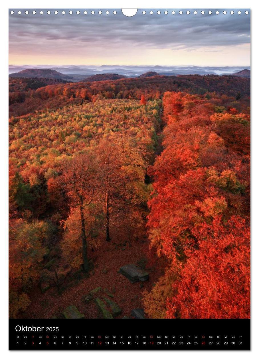 Bild: 9783457039168 | NATURWUNDER PFÄLZERWALD (Wandkalender 2025 DIN A3 hoch), CALVENDO...