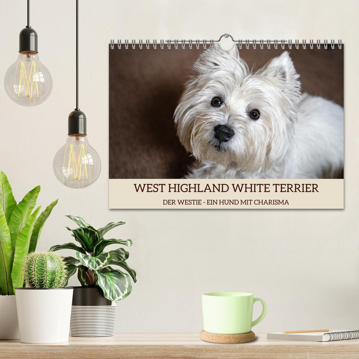 Bild: 9783383867705 | WEST HIGHLAND WHITE TERRIER - DER WESTIE - EIN HUND MIT CHARISMA...