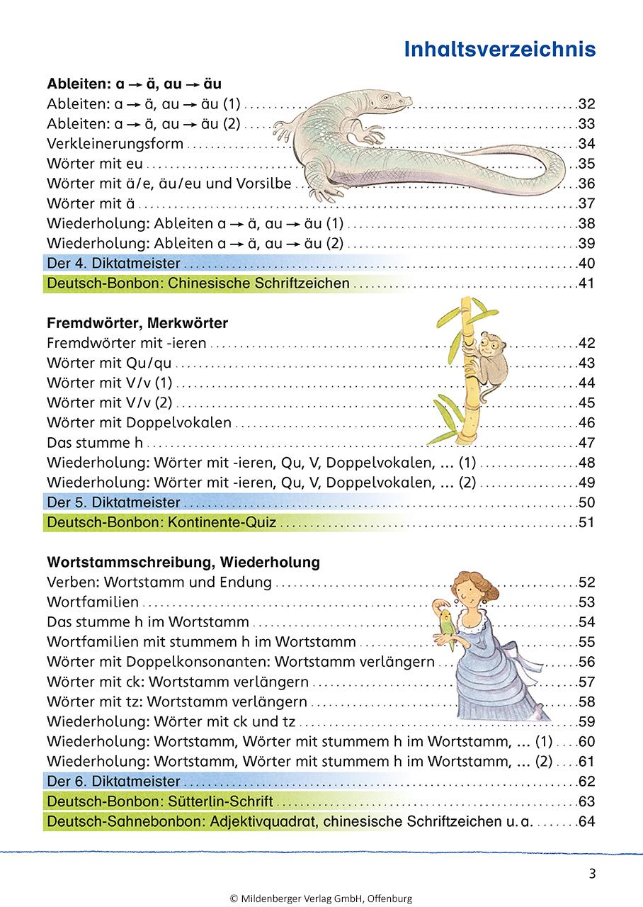 Bild: 9783619341719 | Das Übungsheft Rechtschreiben 3 | Stefanie Drecktrah | Broschüre