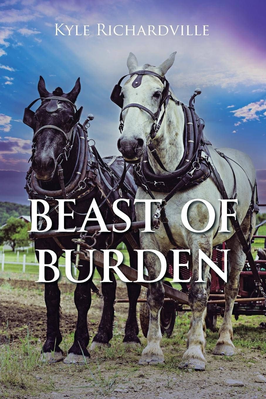 Cover: 9798887515793 | Beast Of Burden | Kyle Richardville | Taschenbuch | Englisch | 2023