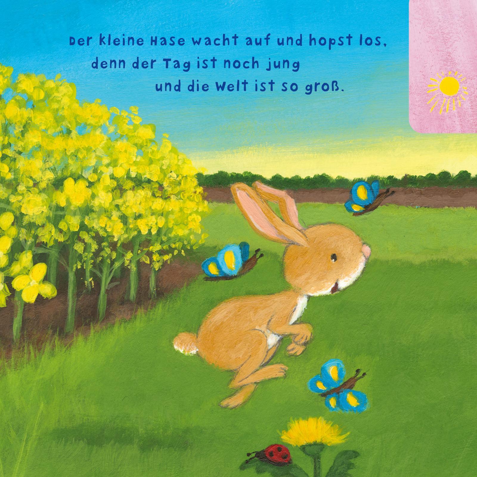 Bild: 9783551051998 | Baby Pixi (unkaputtbar) 97: Der kleine Hase | Susanne Lütje | Buch