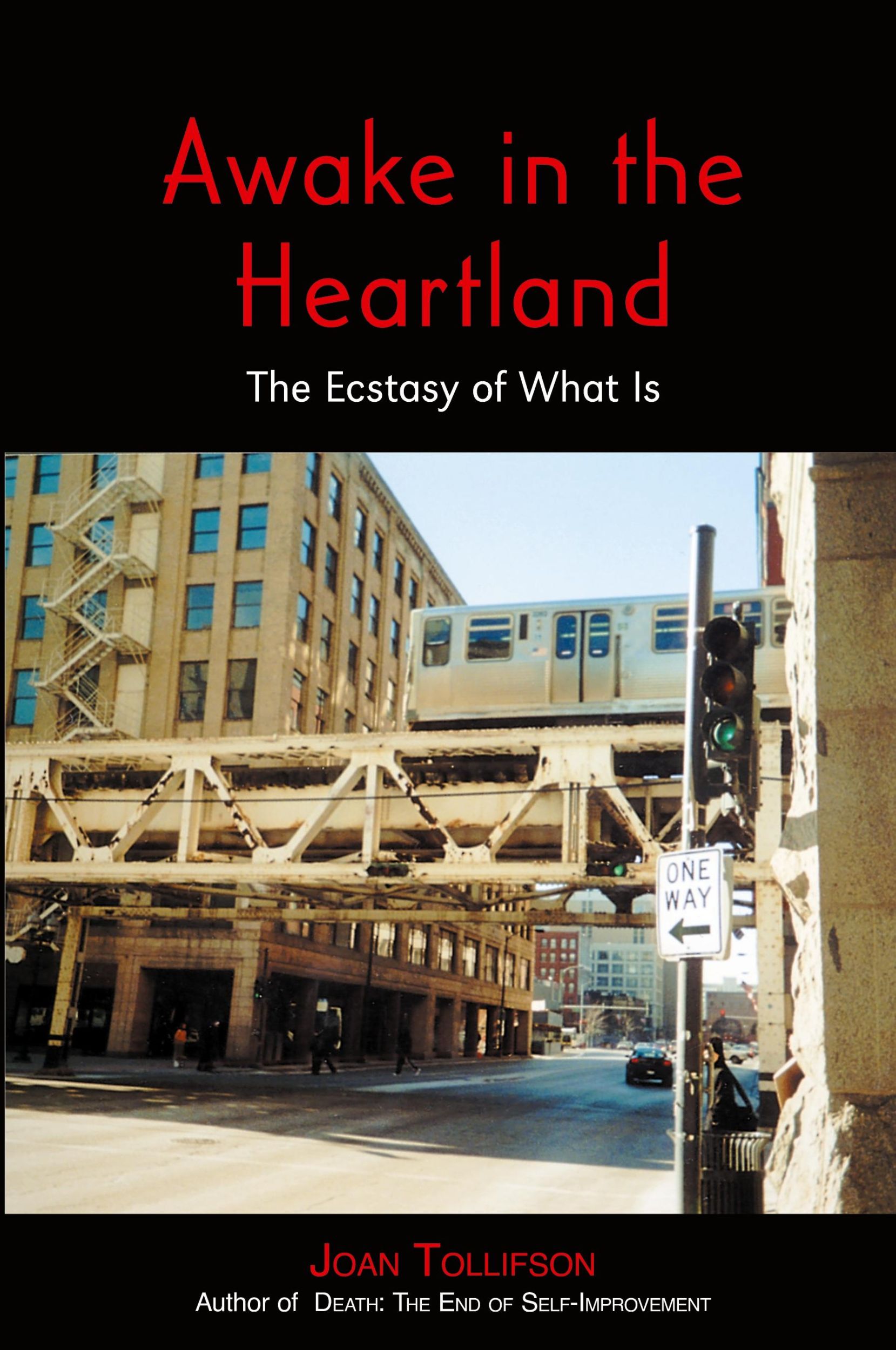 Cover: 9781739724900 | Awake in the Heartland | The Ecstasy of What Is | Joan Tollifson