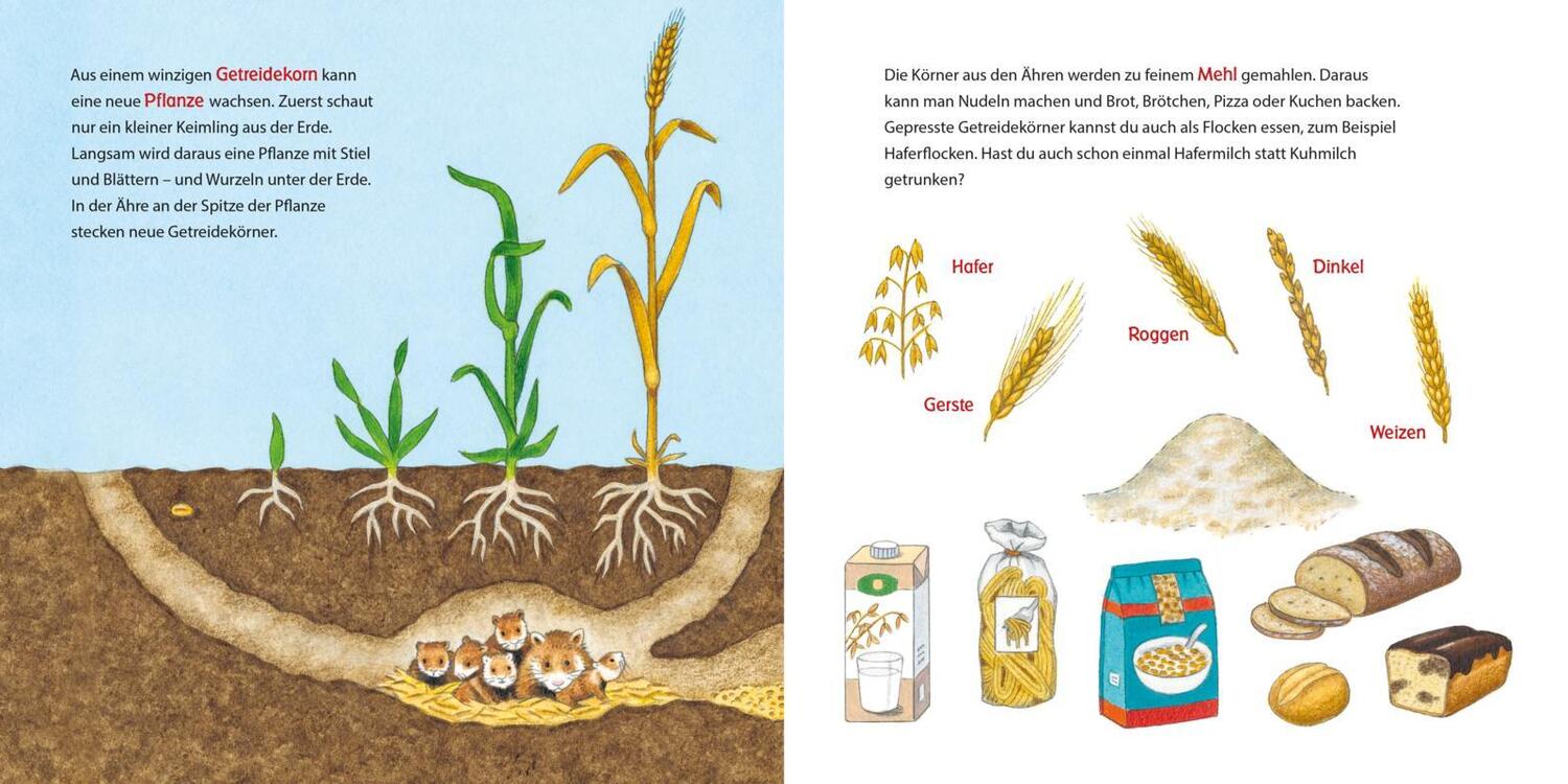 Bild: 9783551173218 | Komm mit auf den Bauernhof | Erstes Sachbuch für Kleine ab 2 Jahren