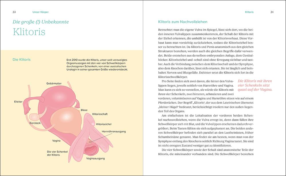 Bild: 9783458643531 | Das große Gynbuch | Mandy Mangler | Buch | 496 S. | Deutsch | 2024