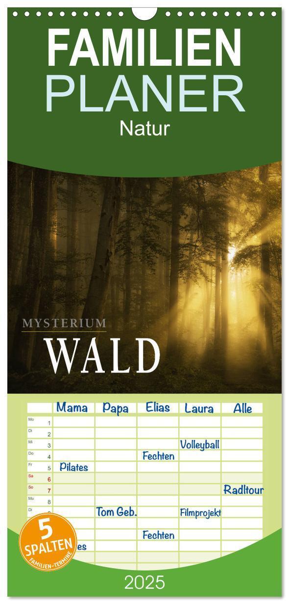 Cover: 9783457117453 | Familienplaner 2025 - Mysterium Wald mit 5 Spalten (Wandkalender,...