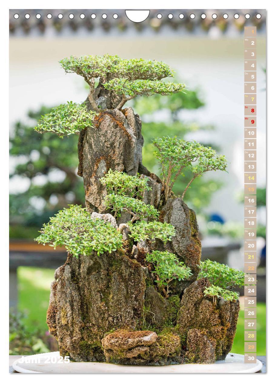 Bild: 9783435848966 | Bonsai: Gartenkunst im Kleinen (Wandkalender 2025 DIN A4 hoch),...