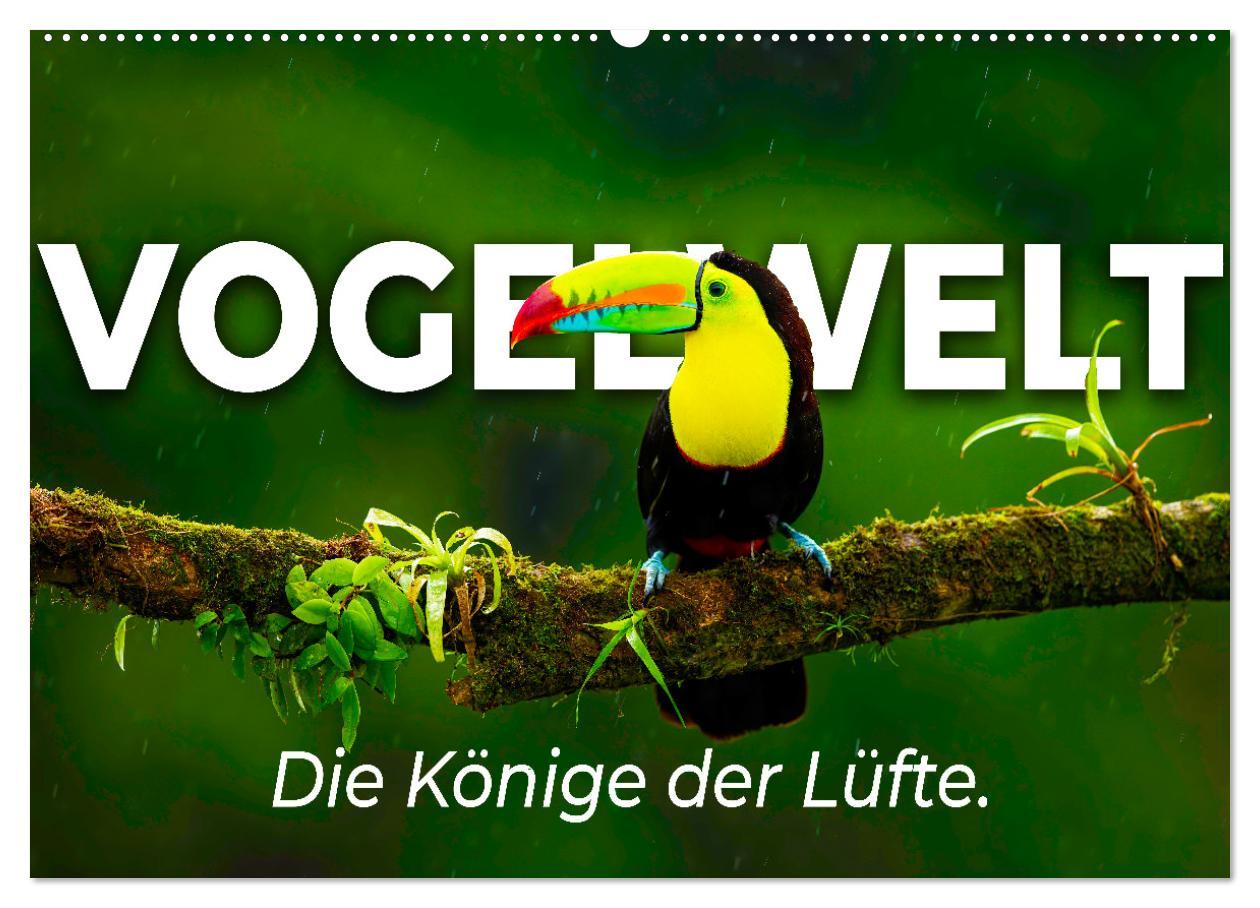 Cover: 9783435040766 | Vogelwelt - Die Könige der Lüfte. (Wandkalender 2025 DIN A2 quer),...