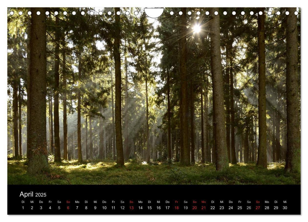 Bild: 9783435520114 | Zauberhafter Bayerischer Wald (Wandkalender 2025 DIN A4 quer),...