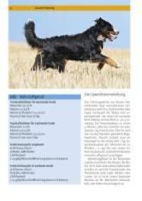 Bild: 9783440116241 | Berner Sennenhund | Auswahl, Haltung, Erziehung, Beschäftigung | Buch