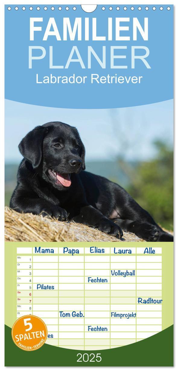 Cover: 9783457119778 | Familienplaner 2025 - Labrador Retriever 2025 mit 5 Spalten...