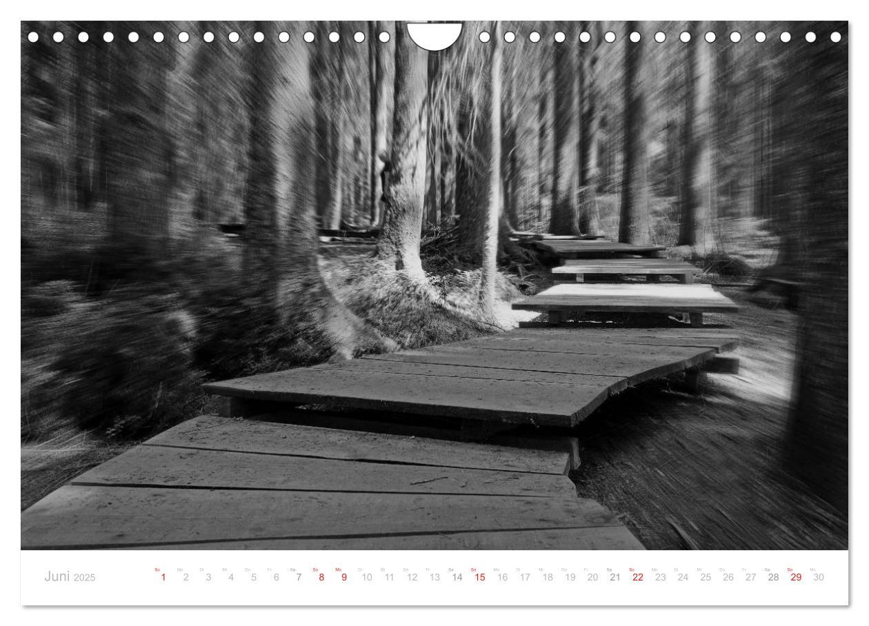 Bild: 9783435514885 | Mystischer Schwarzwald (Wandkalender 2025 DIN A4 quer), CALVENDO...