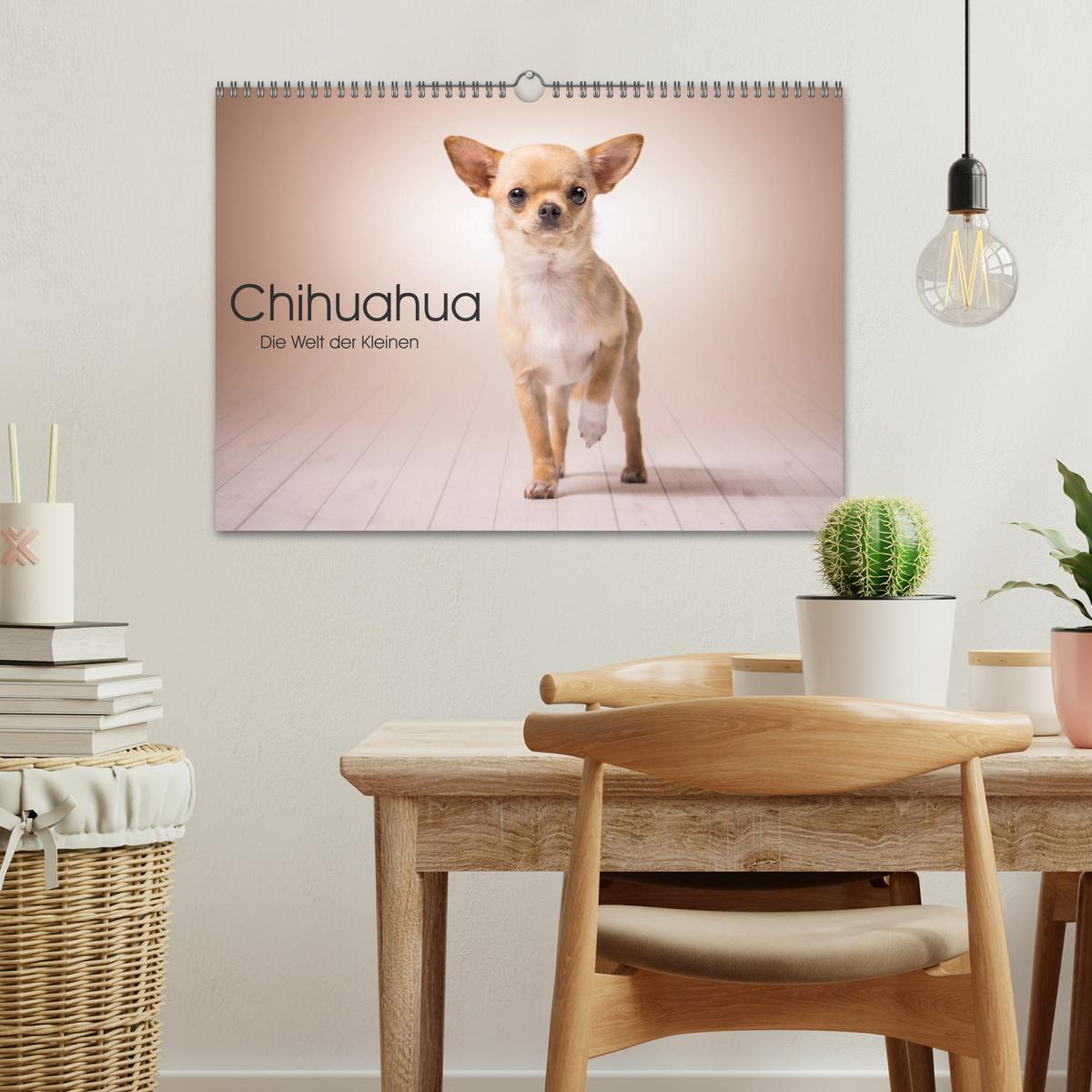 Bild: 9783435530328 | Chihuahua - Die Welt der Kleinen (Wandkalender 2025 DIN A3 quer),...