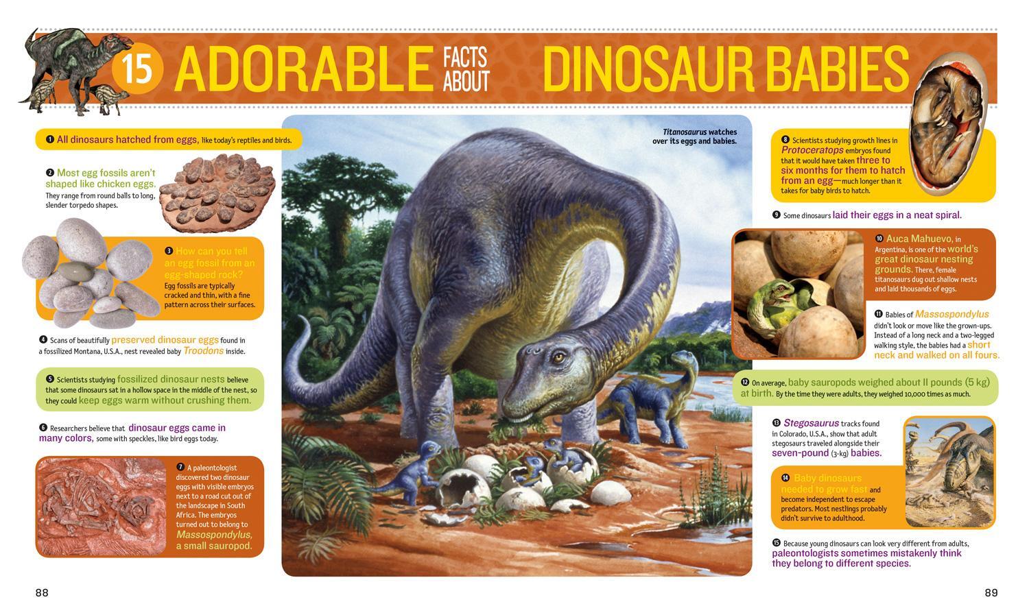 Bild: 9781426336676 | 1,000 Facts about Dinosaurs, Fossils, and Prehistoric Life | Daniels