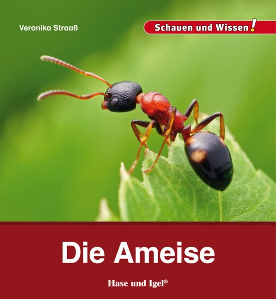 Cover: 9783867607698 | Die Ameise | Schauen und Wissen! | Veronika Straaß | Buch | 34 S.