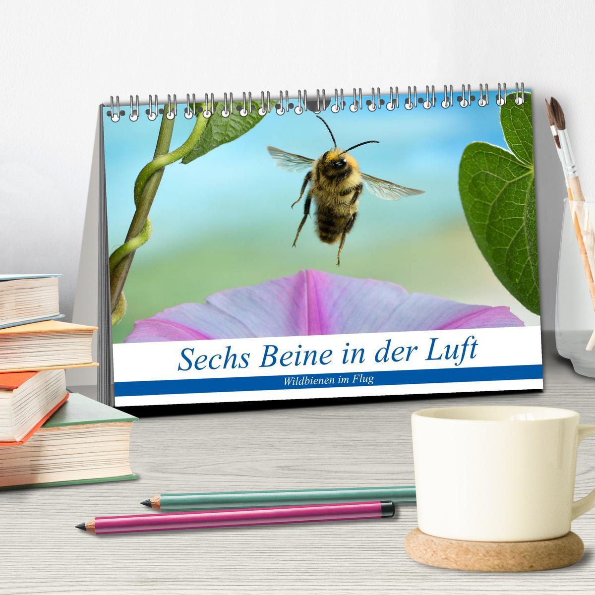 Bild: 9783435219681 | Sechs Beine in der Luft - Wildbienen im Flug (Tischkalender 2025...