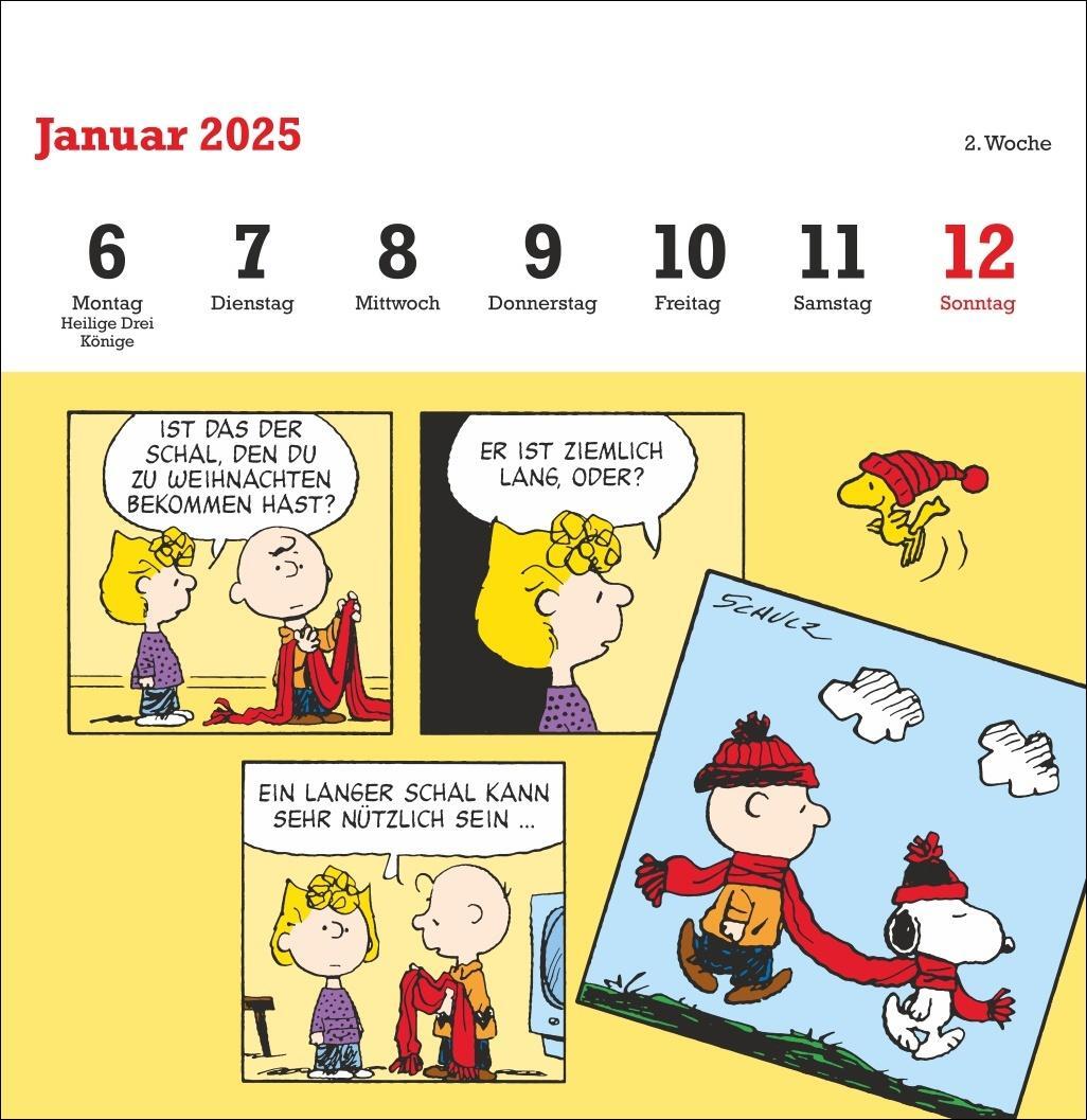 Bild: 9783756408078 | Peanuts Premium-Postkartenkalender 2025 | Heye | Kalender | 54 S.